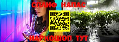прущий лед Гай