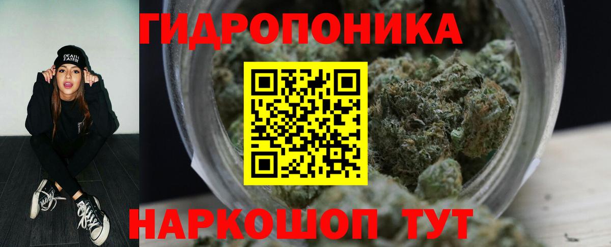 Каннабис OG Kush Дальнереченск